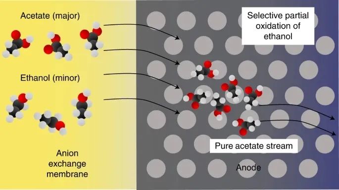 焦鋒教授團隊，最新Nature Catalysis！