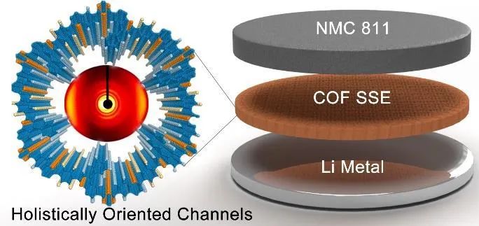 西湖大學(xué)徐宇曦Angew：共價(jià)有機(jī)骨架電解質(zhì)助力高鎳正極固態(tài)鋰金屬電池