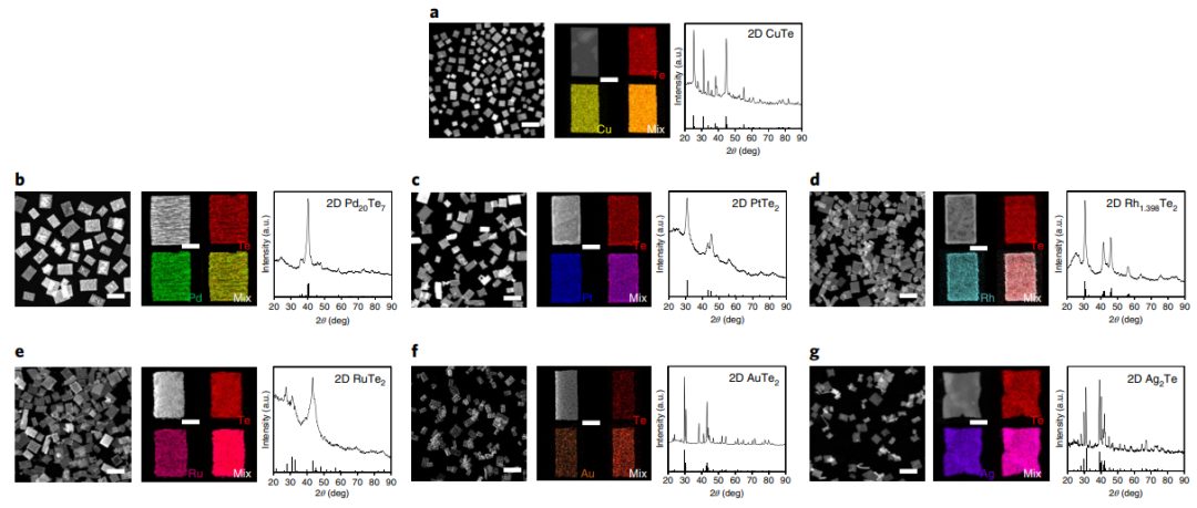 黃小青&徐勇等合作，最新Nature Synthesis！