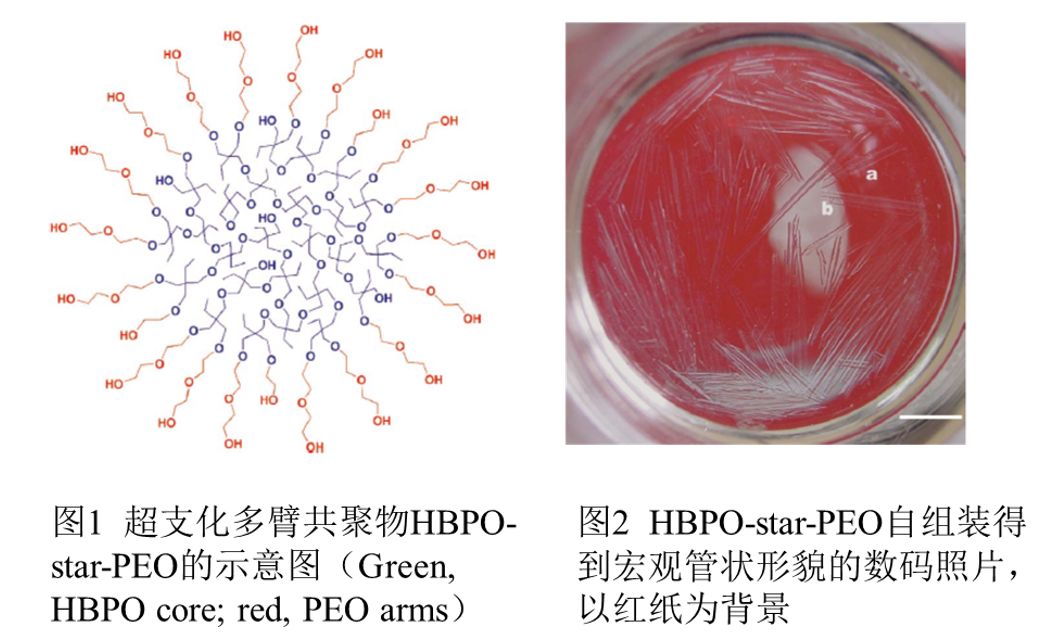 文章不厭百回改！回眸上海交通大學(xué)的第一篇Science