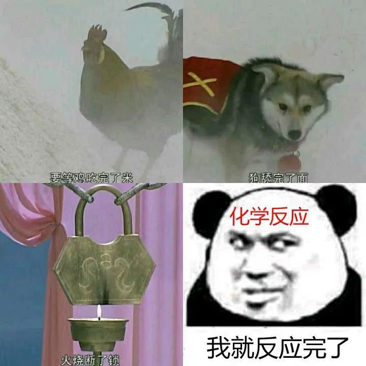 優(yōu)秀的化學(xué)人是如何追女孩的。。。