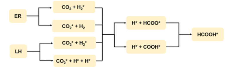 【計(jì)算論文精讀】ACS ANM: 石墨烯負(fù)載錫單原子催化劑用于CO2加氫制HCOOH