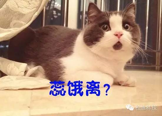 What？！論文被退稿，因?yàn)閳D像分辨率太高！