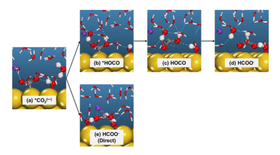 ACS Catalysis：KOH濃度的影響和OH–在CO2電催化還原中的作用