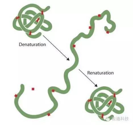 會玩！“搞笑諾貝爾獎”中那些逗逼科學(xué)家