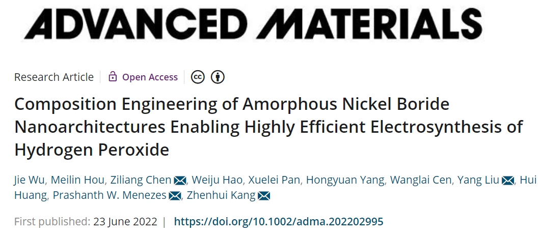 蘇大/柏林工業(yè)大學(xué)AM：無定形NiB2用于高效電合成H2O2