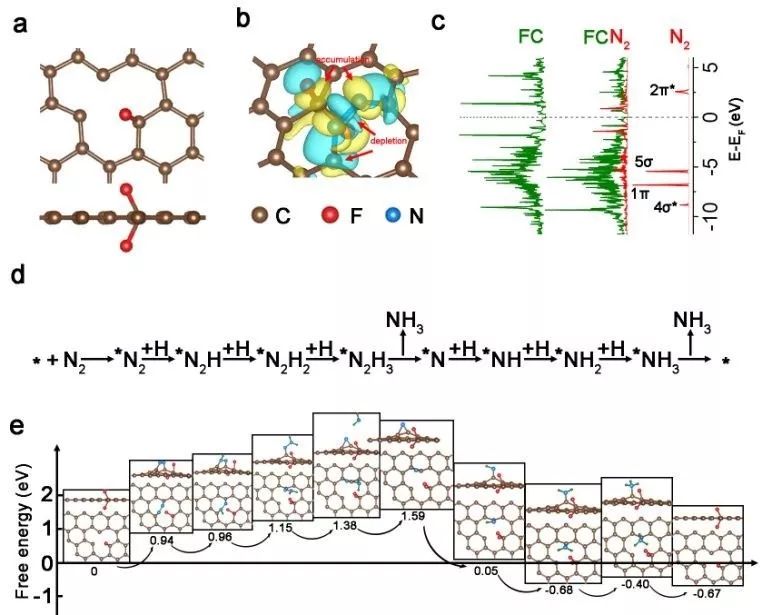 【催化】復(fù)旦鄭耿峰團(tuán)隊(duì)：氟摻雜碳調(diào)控電子結(jié)構(gòu)，高效催化N2RR