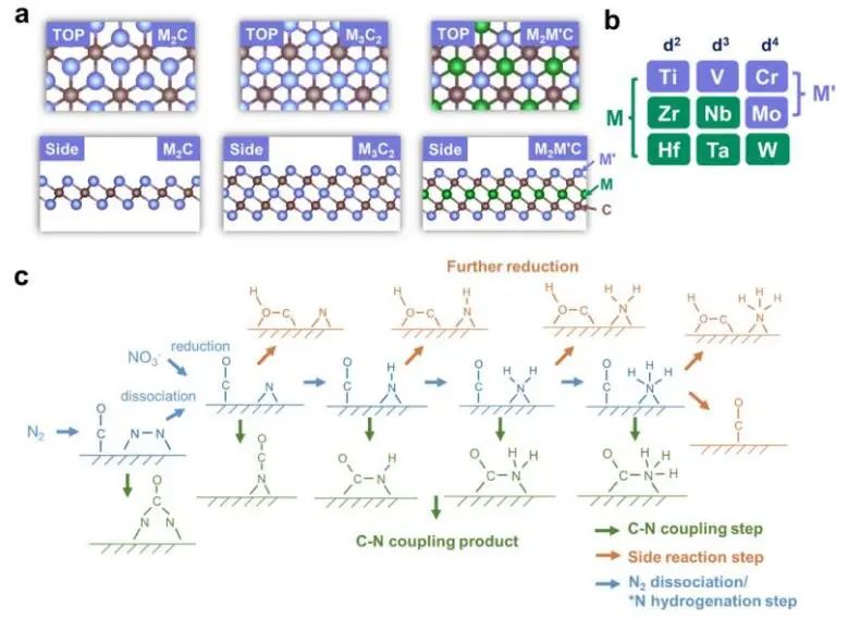 喬世璋/焦研JACS：理論計算+機(jī)器學(xué)習(xí)，揭示Mxene上C-N電偶聯(lián)反應(yīng)的活性和選擇性路線