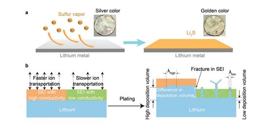 【頂刊】斯坦福大學(xué)崔屹 ：枝晶生長(zhǎng)需預(yù)防，Li2S保護(hù)層來(lái)幫忙