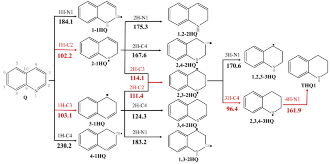 【MS論文精讀】太原理工Molecular Catalysis：喹啉在MoP（010）表面的加氫脫氮機(jī)理研究