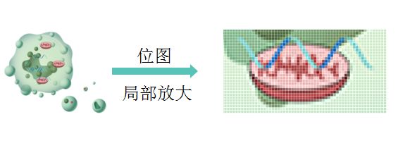 【制圖干貨】給SCI論文配圖時，矢量圖和位圖有什么區(qū)別？