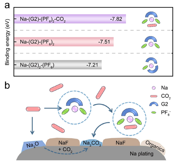 強(qiáng)！一周內(nèi)連發(fā)Nature子刊和JACS，這個(gè)團(tuán)隊(duì)成果斐然！