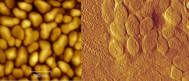 【動(dòng)圖秒懂】四大顯微設(shè)備SEM、TEM、AFM、STM工作原理