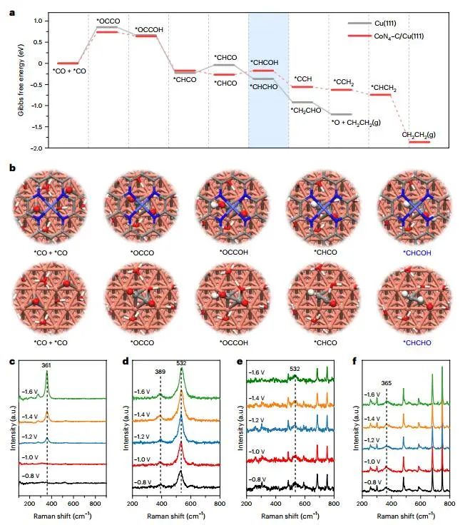 重磅！Edward H. Sargent院士，再發(fā)Nature Nanotechnology！