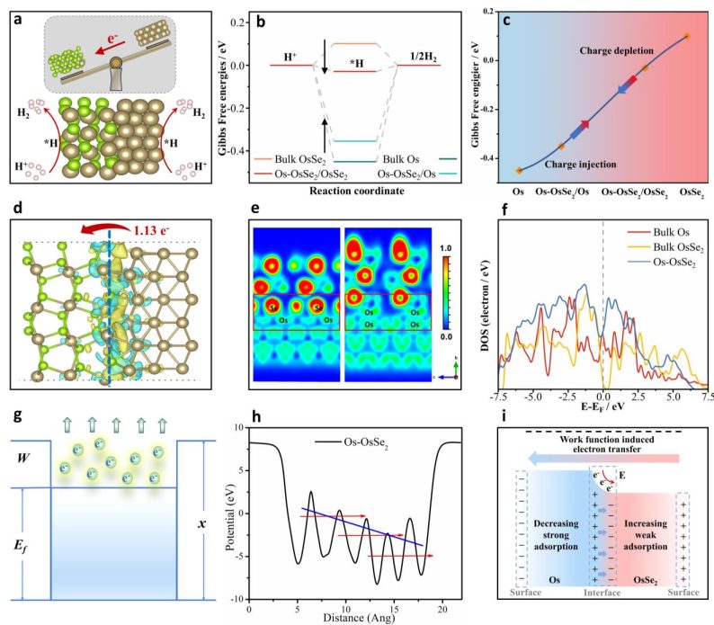 木士春Angew.: Os-OsSe2異質(zhì)結(jié)構(gòu)內(nèi)建電場(chǎng)用于酸性和堿性HER