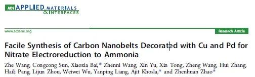 ACS Appl. Mater. Interfaces：銅和鈀修飾的碳納米帶用于催化硝酸鹽電還原合成氨