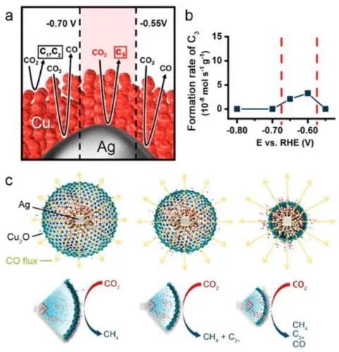 南科大顧均ACS Catalysis: 剖幽析微：基于CO中間體的傳質(zhì)設(shè)計用于CO2電還原的Cu基串聯(lián)催化劑