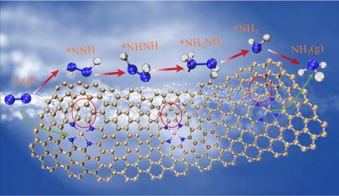 浙大侯陽AFM：本征碳缺陷協(xié)同加速Fe單原子位點(diǎn)電合成氨的質(zhì)子化反應(yīng)動(dòng)力學(xué)速率