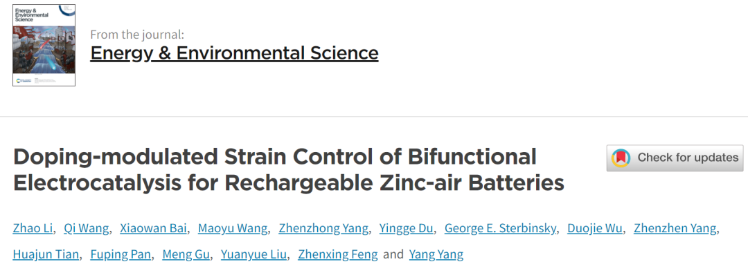 楊陽/谷猛/劉遠(yuǎn)越/馮振興EES: 四單位聯(lián)發(fā)！鋅空氣電池雙功能電催化的摻雜調(diào)節(jié)應(yīng)變控制