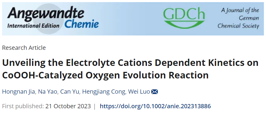 武漢大學(xué)羅威教授Angew：CoOOH催化OER的電解質(zhì)離子依賴性動力學(xué)