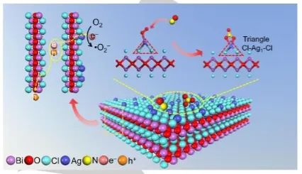 張禮知/艾智慧/毛成梁Angew：三角形位點(diǎn)起大作用，助力BiOCl光催化分子氧活化和選擇性NO氧化