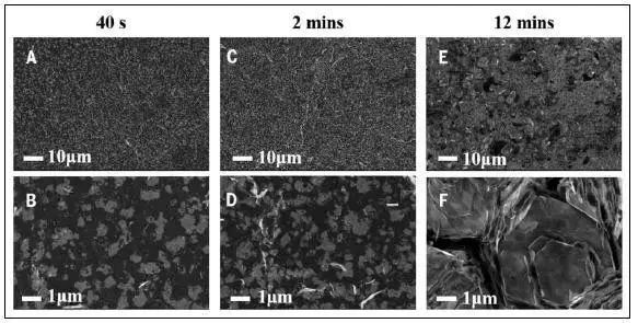 博三一作發(fā)Science的他：大三就有12篇一作SCI 系上交畢業(yè)生