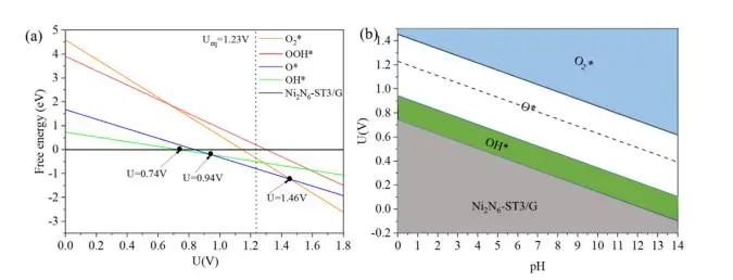 【純計算】Int. J. Hydrogen Energy：相鄰雙NiNx位點(diǎn)對提高燃料電池質(zhì)子交換膜氧還原反應(yīng)活性的協(xié)同作用