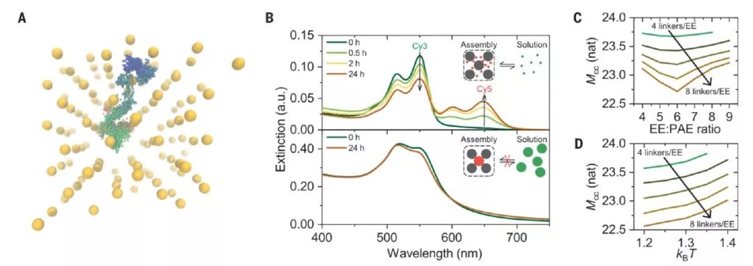 Science：類似于金屬中經(jīng)典電子云圖像，分子動力學(xué)模擬助力揭示膠體晶體自組裝規(guī)律