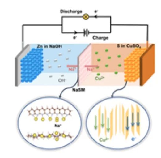 ?南洋理工范紅金/吉大杜菲AM：高硫負(fù)載和單離子選擇膜用于高能耐用的解耦水系電池