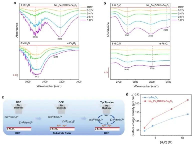 催化頂刊集錦：JACS、Nature子刊、Angew、ACS Catalysis、Adv. Sci.等成果