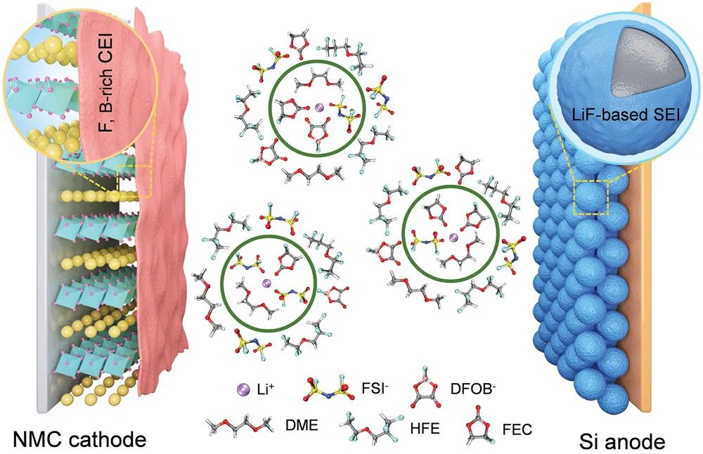 鄭洪河/黃云輝AM：電解液設(shè)計實現(xiàn)具有定制電極-電解質(zhì)界面的高安全性和高性能硅負極
