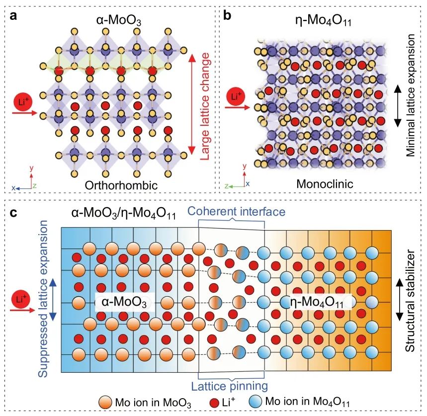 夏暉/翟騰/蘇東Nature子刊：通過(guò)具有穩(wěn)定 Li+ 嵌入的相干界面在 MoO3 中進(jìn)行晶格釘扎