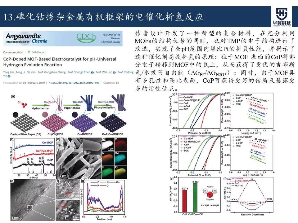 科研這杯酒，誰喝都得醉！2019年電催化領域高被引工作，先干為敬！