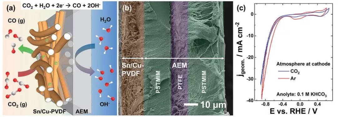 【頂刊】Advanced Energy Materials：SnCu納米纖維氣體擴(kuò)散電極高效CO2RR