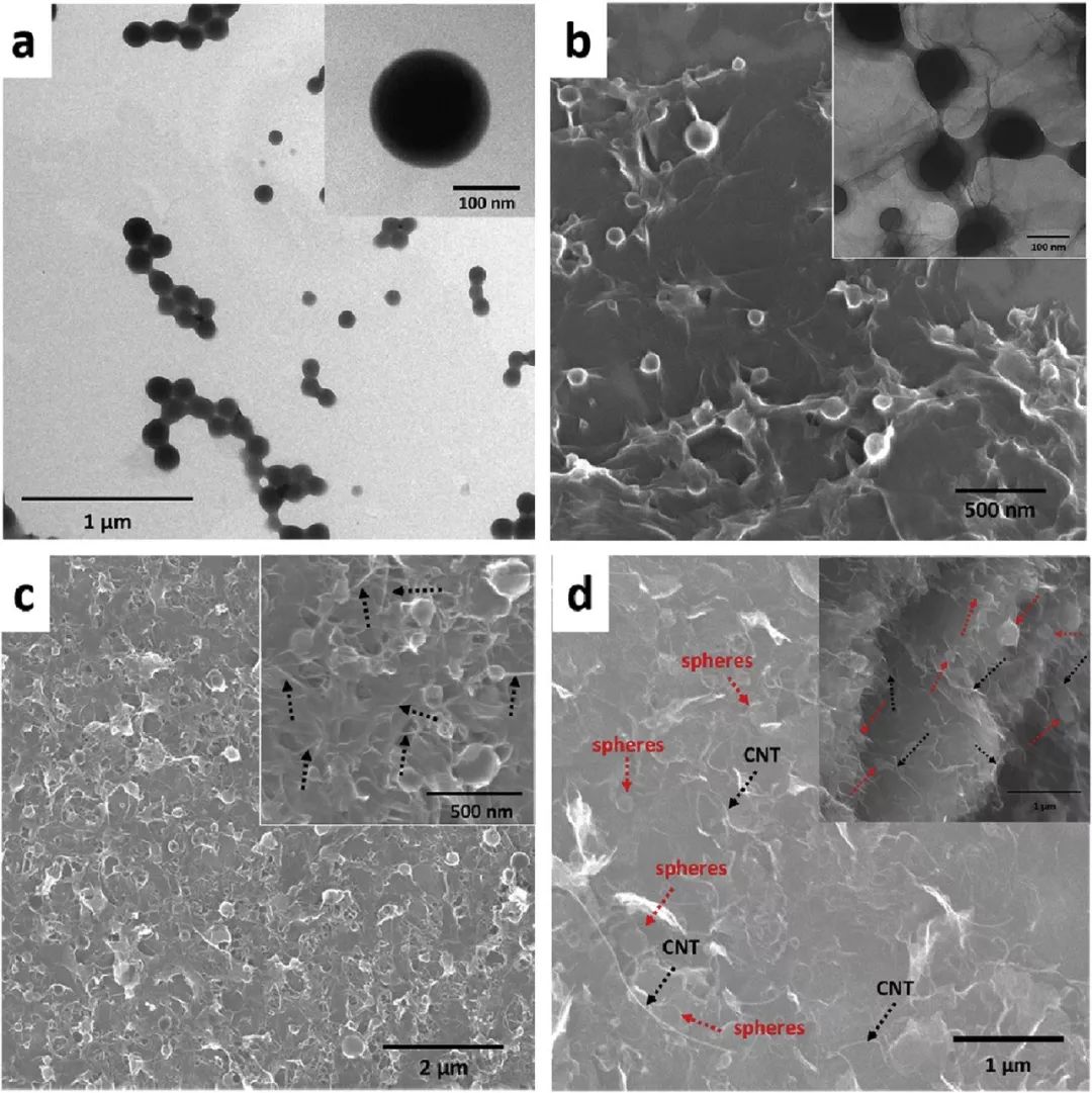 Nano Energy：自支撐有機(jī)正極材料，高質(zhì)量負(fù)載下100%活性物質(zhì)利用率