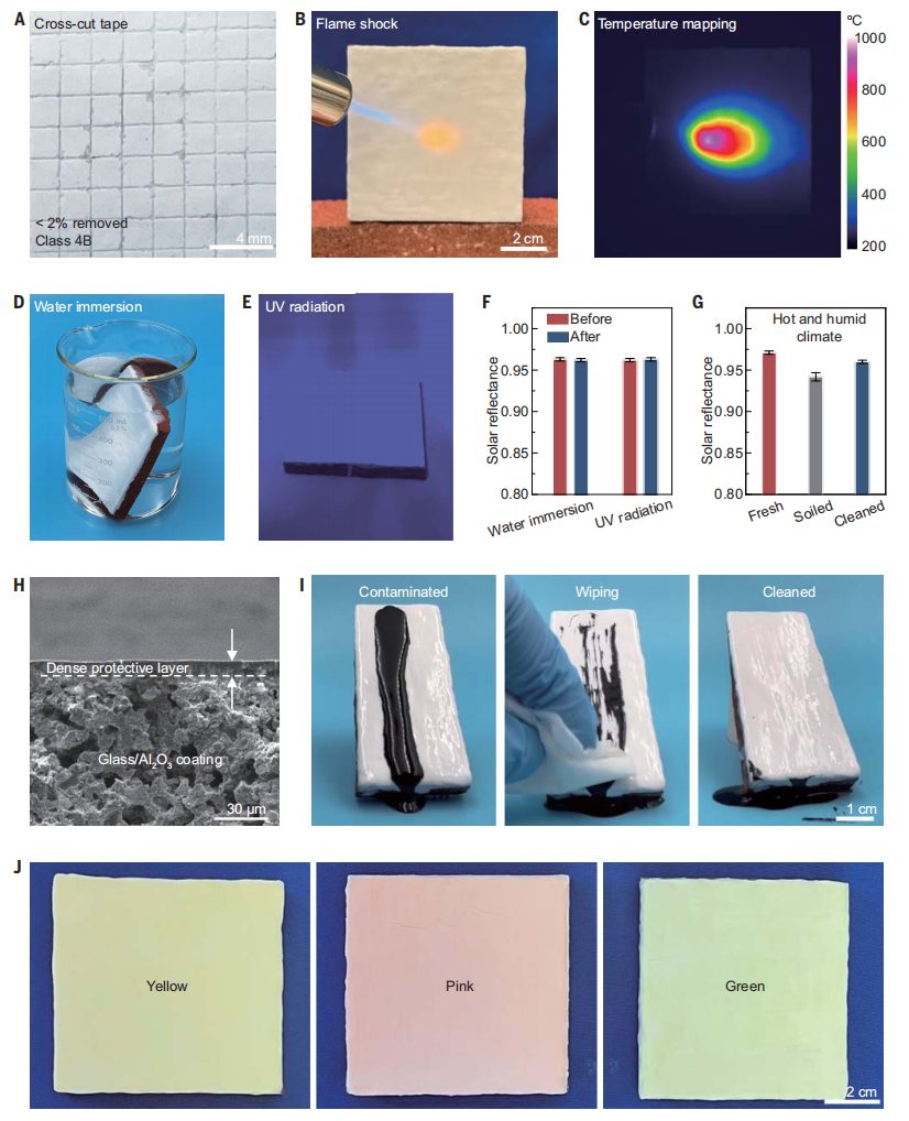 胡良兵教授最新Science，五年11篇正刊！