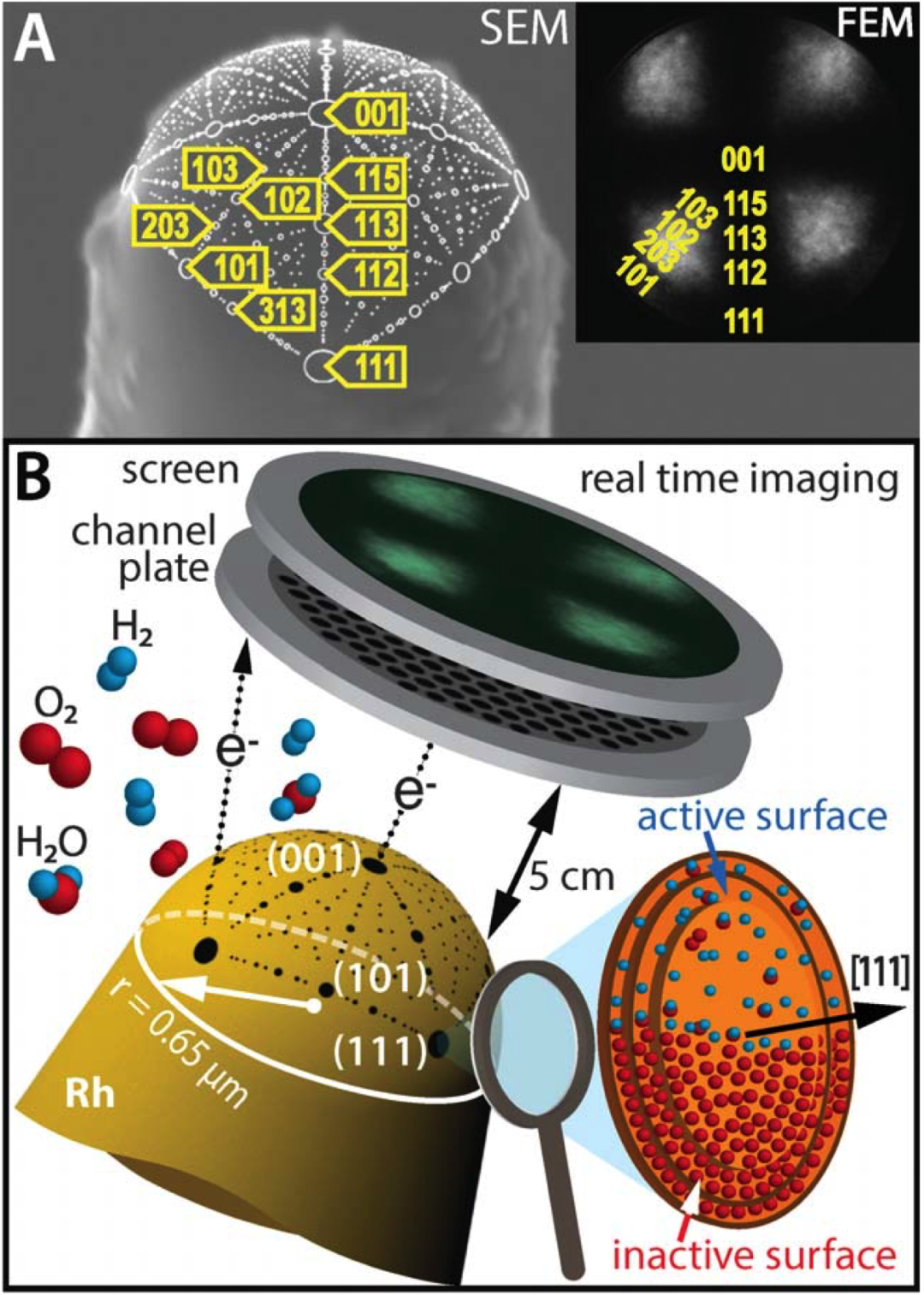 Nat. Mater.后又發(fā)Science：明察秋毫，原位觀察單粒子的催化性能