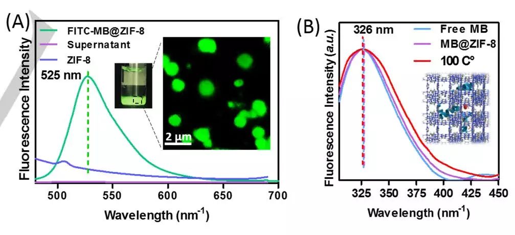 中山大學Angew. 玩轉MOFs，快速高效封裝酶和蛋白質