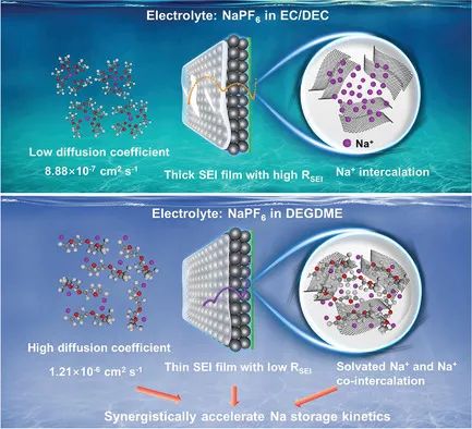 北理吳川/白瑩AM: 闡明硬碳負極在醚類電解液中快速儲鈉動力學(xué)的機制