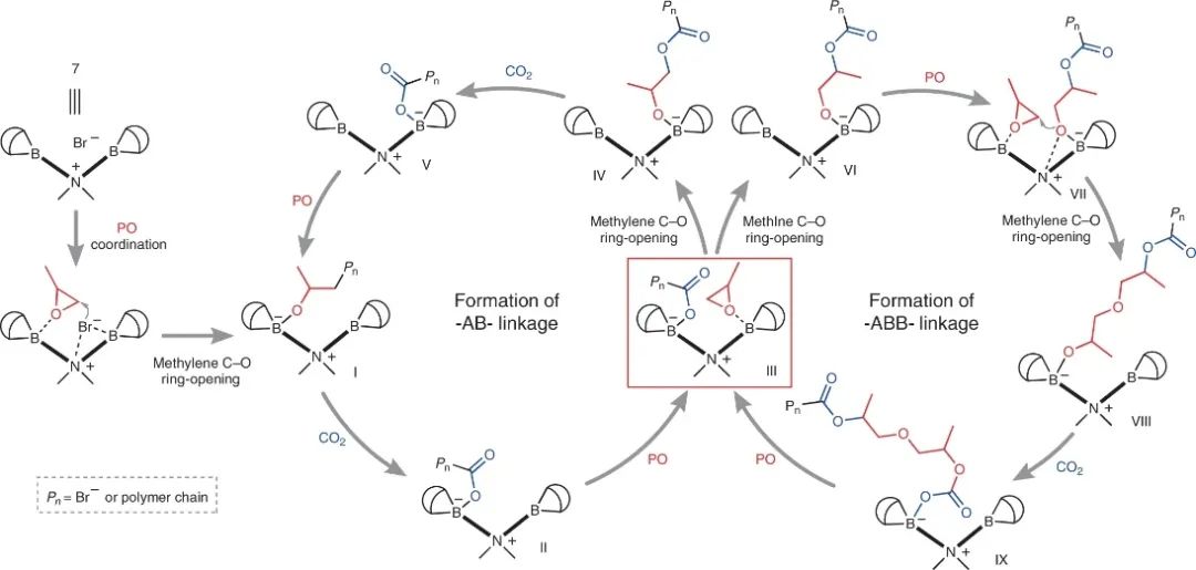 浙大伍廣朋團(tuán)隊(duì)，最新Nature Synthesis！