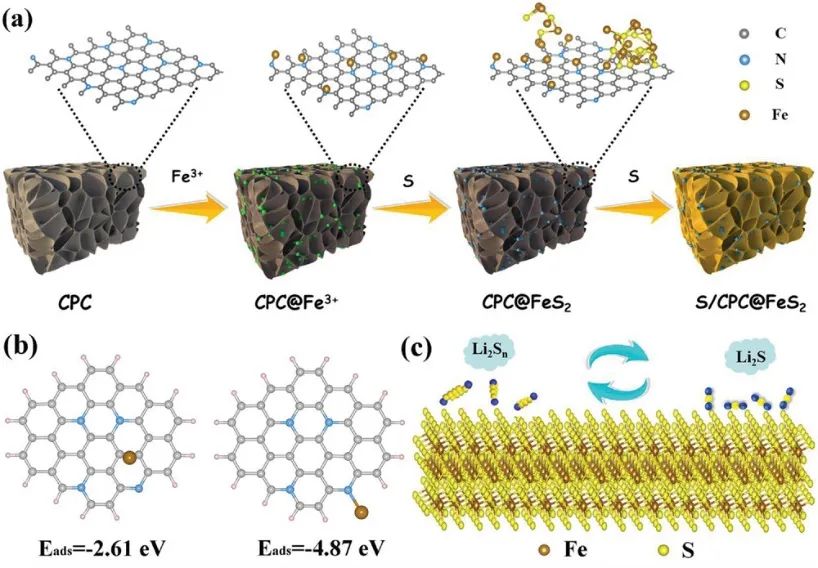 AFM：CPC@FeS2電催化劑助力Li-S電池