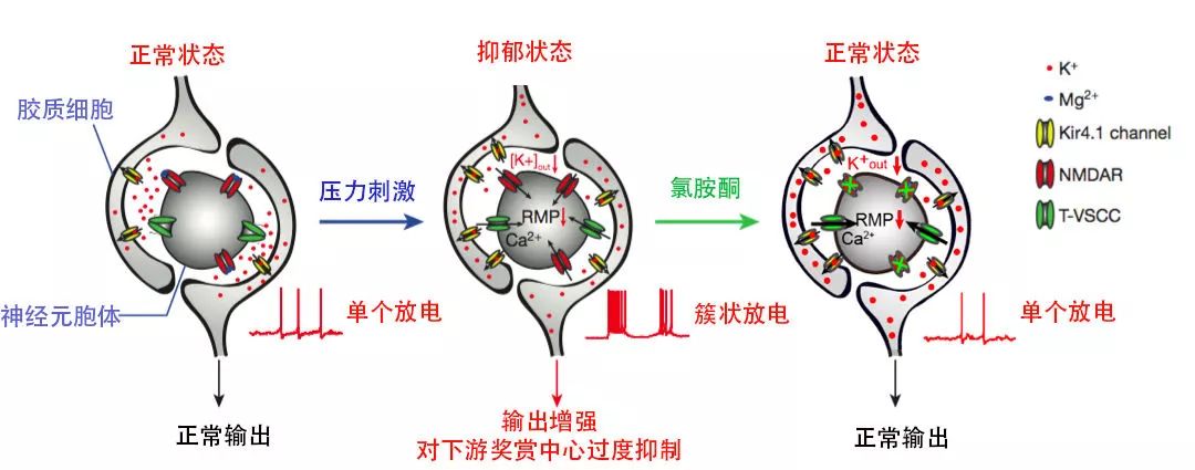 三次被提名院士，學生人手一篇CNS，女神胡海嵐再獲聯(lián)合國“世界杰出女科學家獎”！