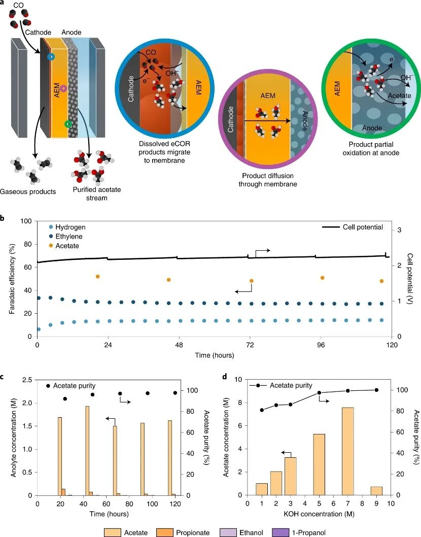 焦鋒教授團隊，最新Nature Catalysis！