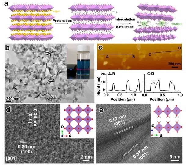 催化頂刊集錦：Angew./JACS/AFM/ACS Catal./Small等最新成果