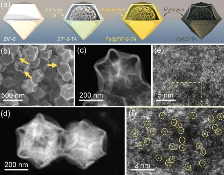 催化頂刊集錦：Angew./JACS/AFM/ACS Catal./Small等最新成果