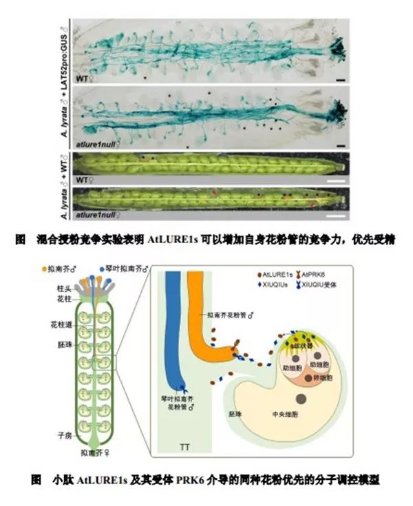 全是頂刊！2019年度中國(guó)高等學(xué)校十大科技進(jìn)展