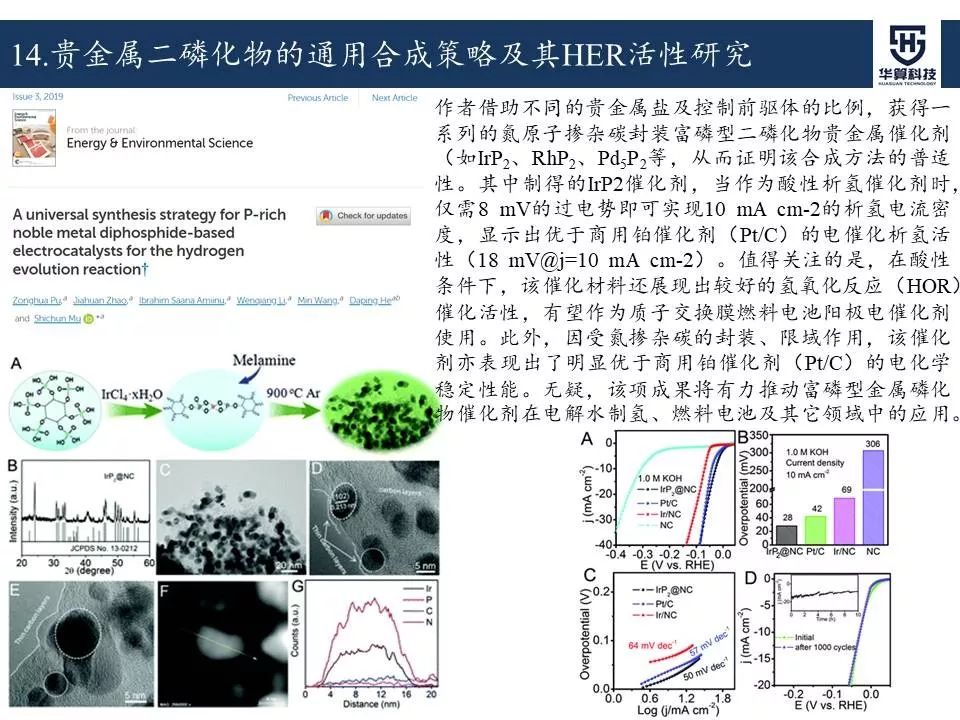 科研這杯酒，誰喝都得醉！2019年電催化領域高被引工作，先干為敬！