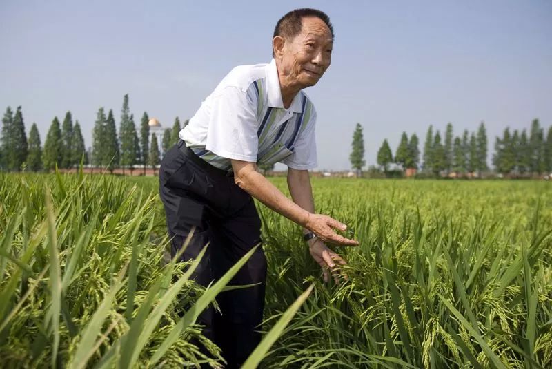 Nature國慶特別評(píng)論—點(diǎn)贊中國：科學(xué)如何成就超級(jí)大國