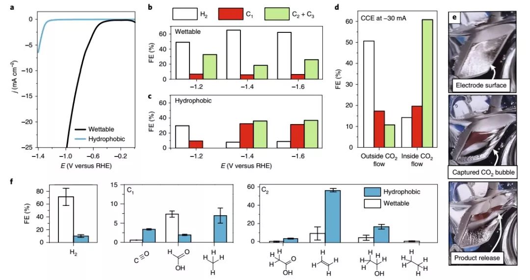 Nature Materials：來自大自然的啟示，構建高效CO2RR界面