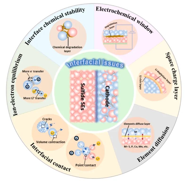 上交莊小東/朱金輝EnSM：硫化物基全固態(tài)鋰電池中的正極界面